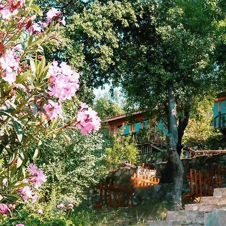 Otel Palmira Adrasan